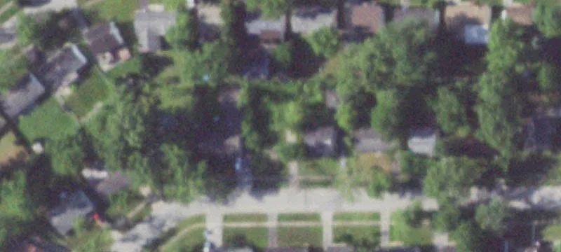 Vacant Lot in Sauk Village