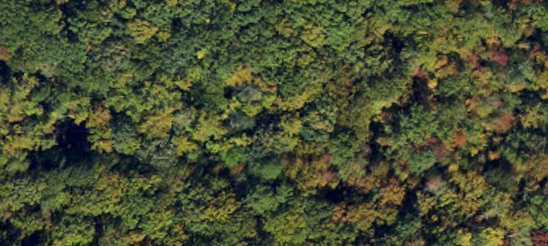 Westfield Land with Development Potential