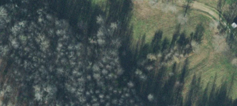 Residential Lots Near Highway Access