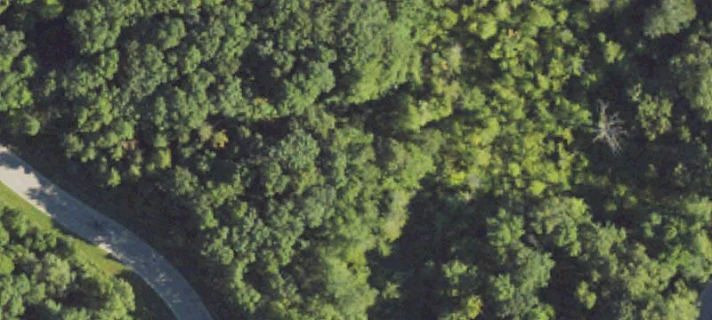 Residential Land in Groveland Township