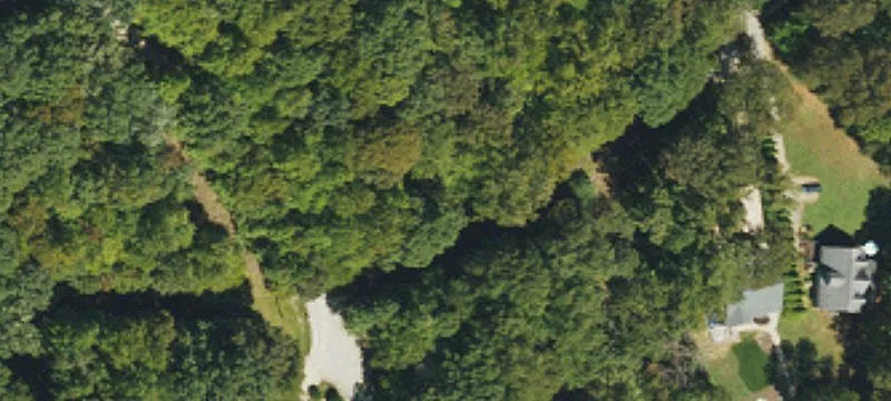 Wooded Lot Ready For Building