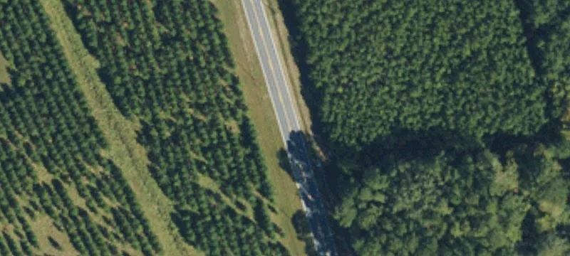Managed Timber Tract Investment Opportunity