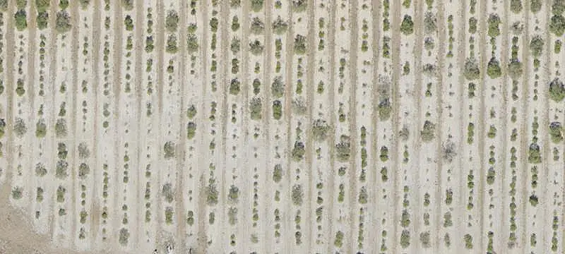 Arbuckle Creek Development Opportunity