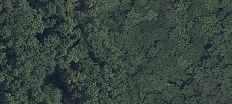 Waterfront Land on Nanjemoy Creek