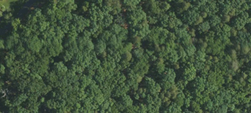 Residential Lot in Healing Springs