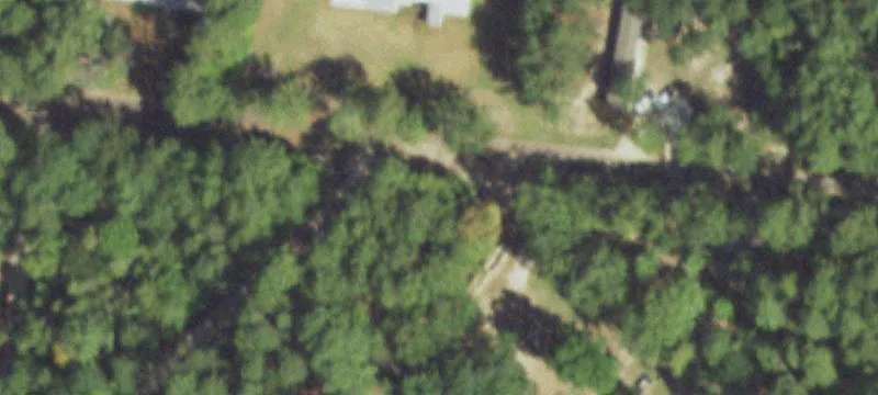 Wooded Acreage Near Lake Sam