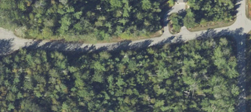 Wooded Lot Near Presque Isle