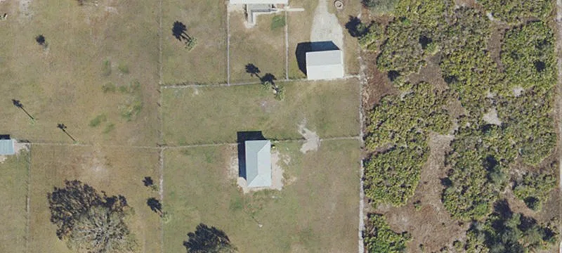 Equestrian Estate with Apple Grove