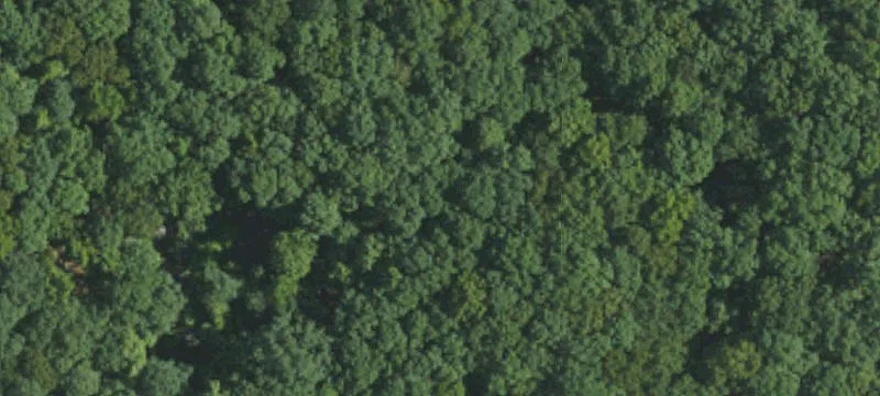 Residential Land at High Rock