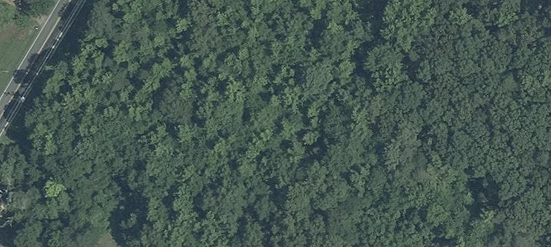 Expansive Land Parcel with Potential
