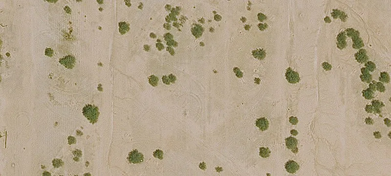 Large Lot in Toltec Area