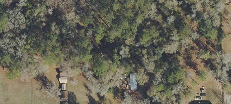 Cleared Acreage Near Trout River