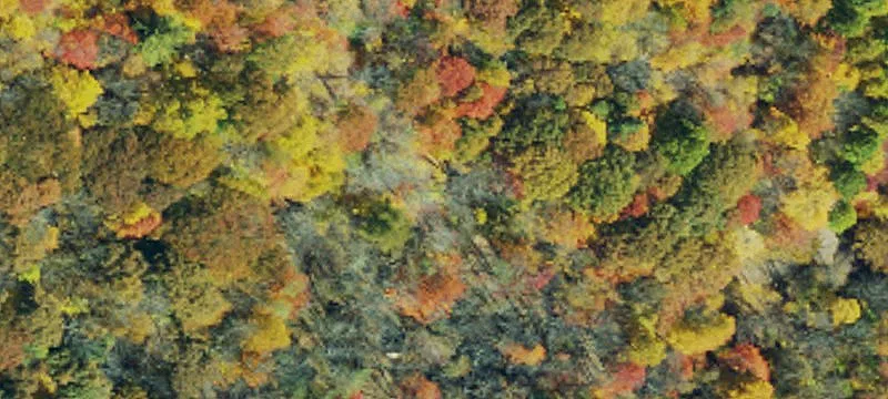 Wooded Tract with Mountain Views