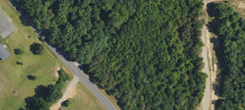 Residential Land in Mount Pleasant