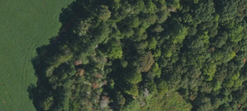 6.37 Acres Mini Farm Potential