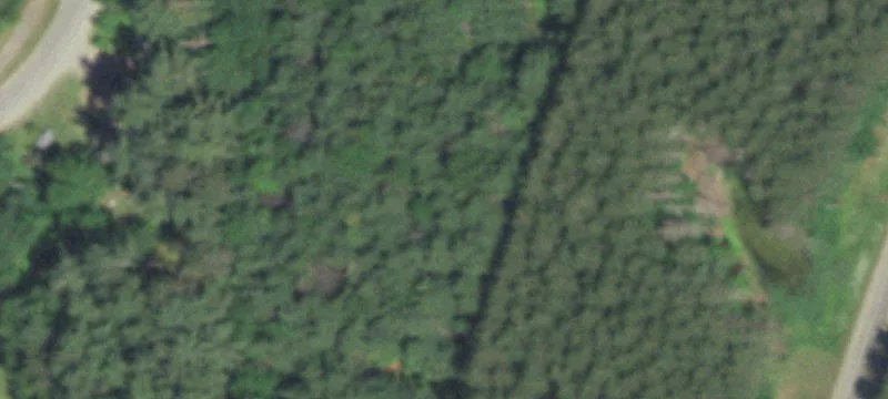 Northwoods Bar/Tavern on Wooded Land