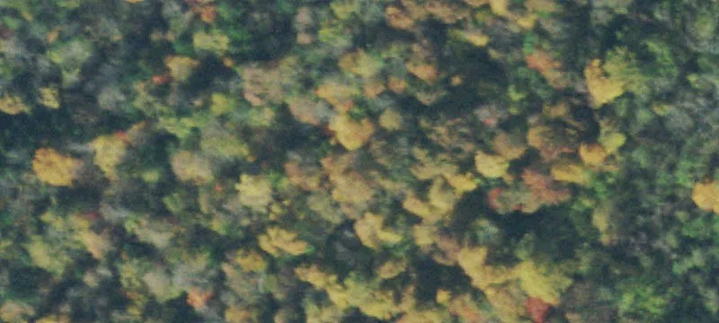 Recreational Land with Timber