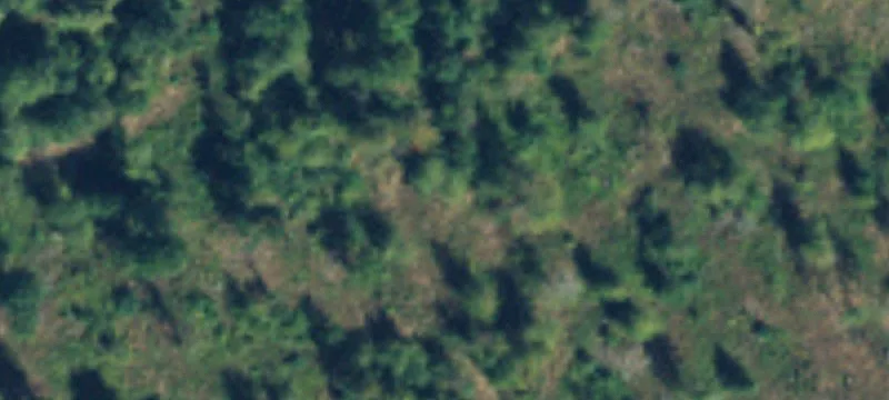 68+ Acres in South Yelm