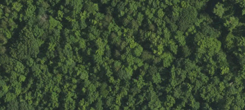 Private 12-Acre Tract with Creek