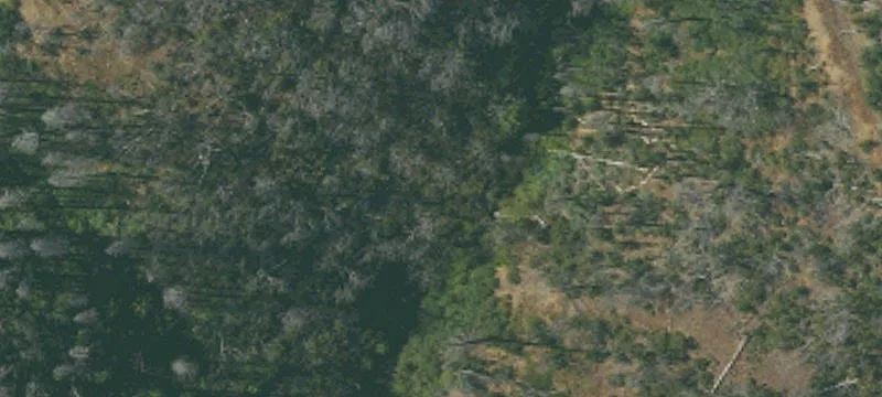 Secluded Land Near Old Mine
