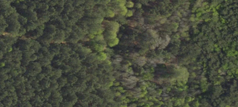 Land with Development Potential