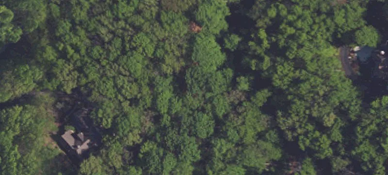 2.17 Acre Wooded Building Lot