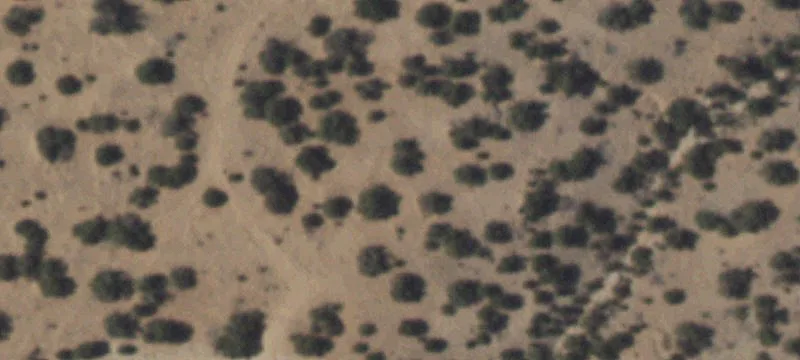Forty Acre Parcel Ready