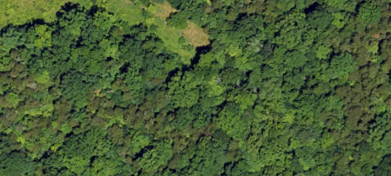 84 Acres Hunting Land
