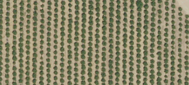 Lodi Agricultural Estate with Airstrip