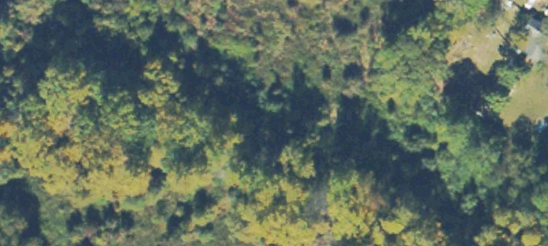 4.4 Acre Tract For Sale