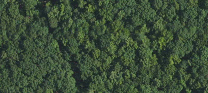 Residential Land Near High Rock