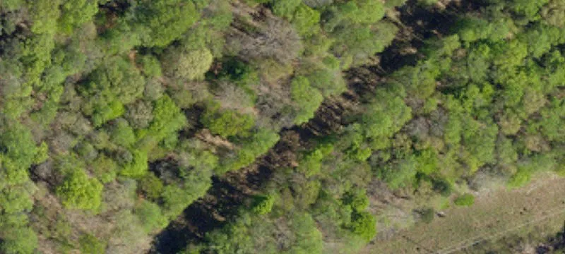 Established Horse Farm with Development Potential