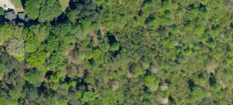 Prime Development Land in Easley