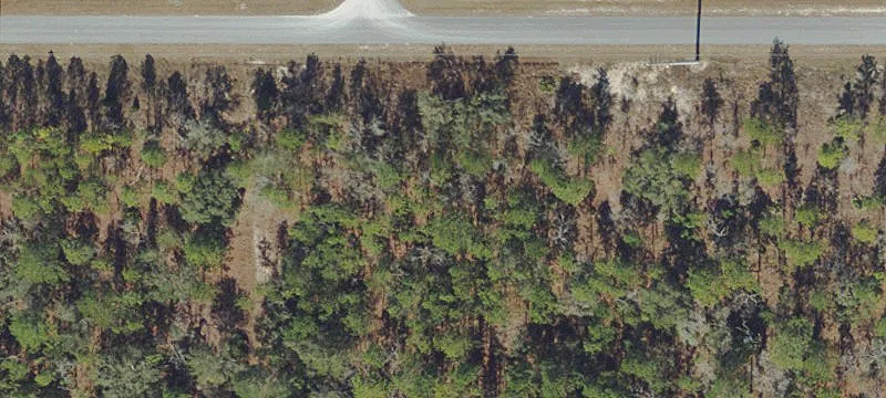 Residential Lot in Growing Area