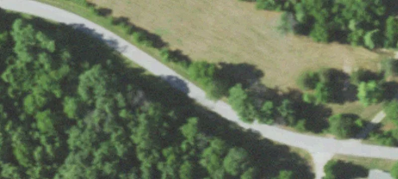 Secluded Wooded Acreage Near Rogersville