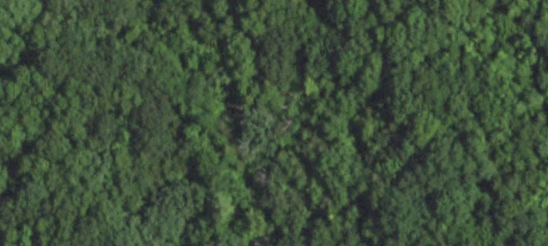53 Acres Near Festus