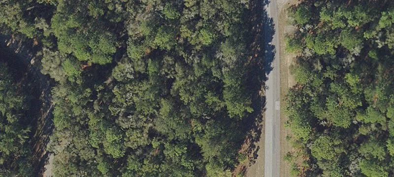 Large Corner Lot in Citrus