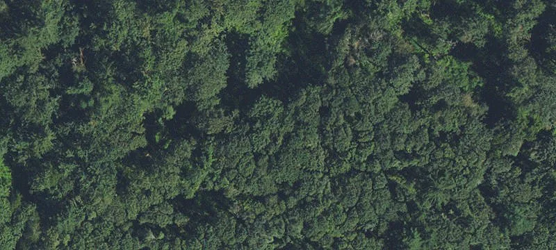 Acreage with Development Potential