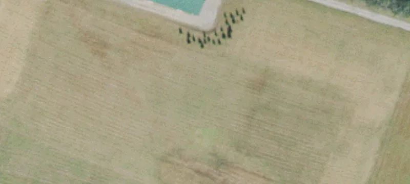 College Grove Acreage with Shop