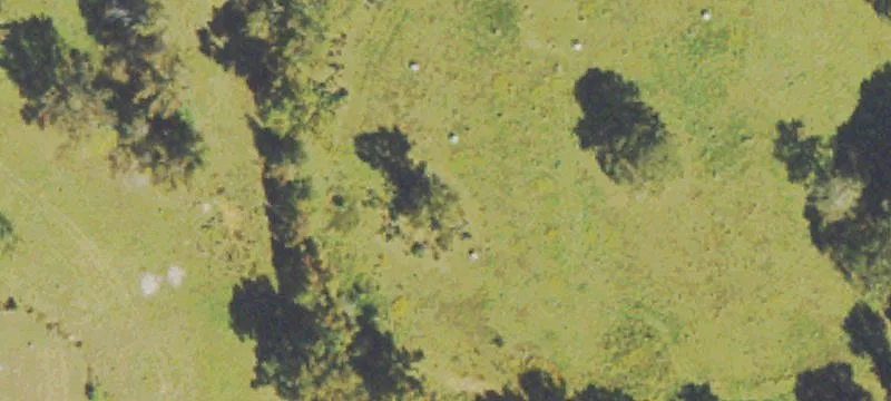 24.7 Acres Wooded Land