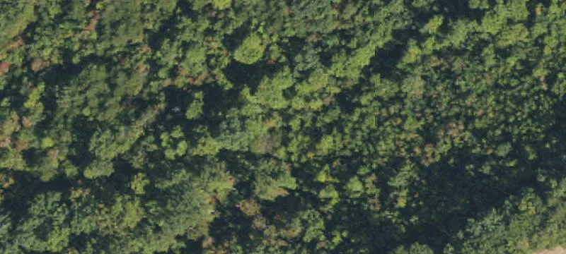 Recreational Land with Creek Access