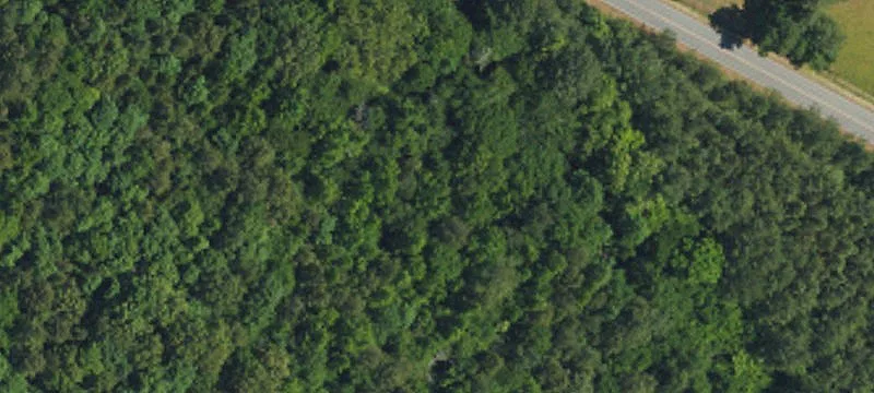 Large Acreage Development Opportunity
