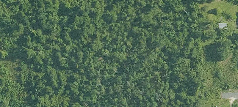 Wooded Acres in High Traffic
