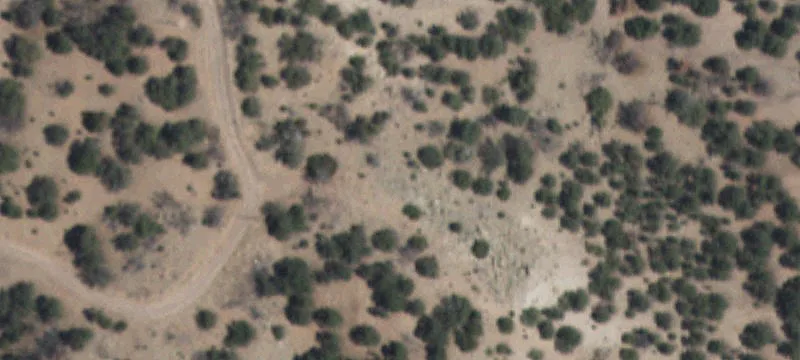 Hilltop Land with Wildlife Views