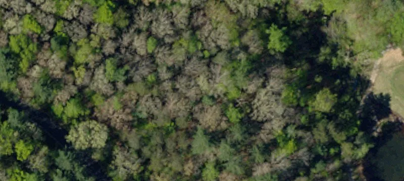 Residential Land in Golf Community