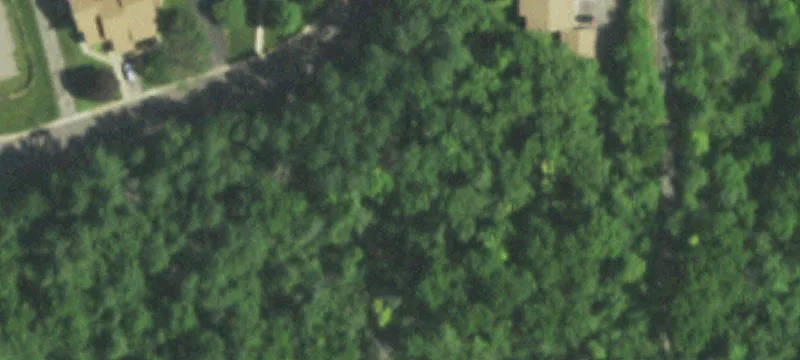 Wooded Hillside Lot in Cross Plains
