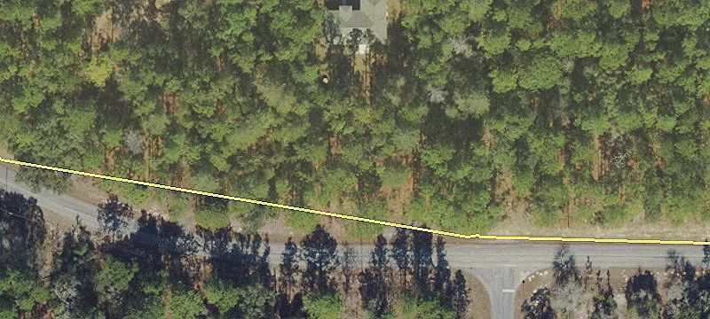 Land Near Crystal and Rainbow River