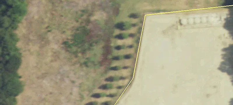 Land on West Division Street