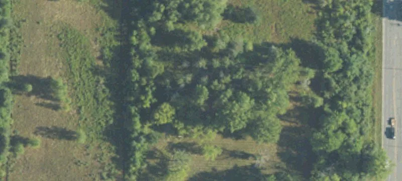 Industrial Land with Rail Access