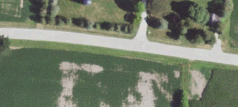 40 Acres Farmland with Pond